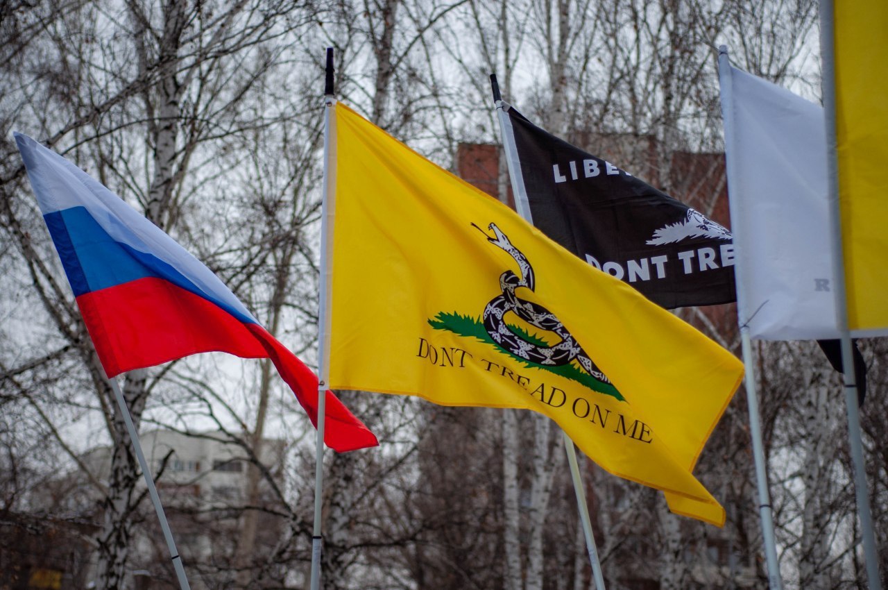 Флаги Либертарианской партии